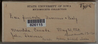 Image Associated With the Occurence